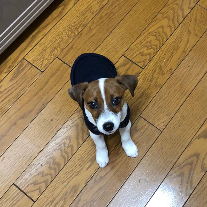 53f22999 2d97 4ea6 b6f5 c38a329d1c69 1514500673464