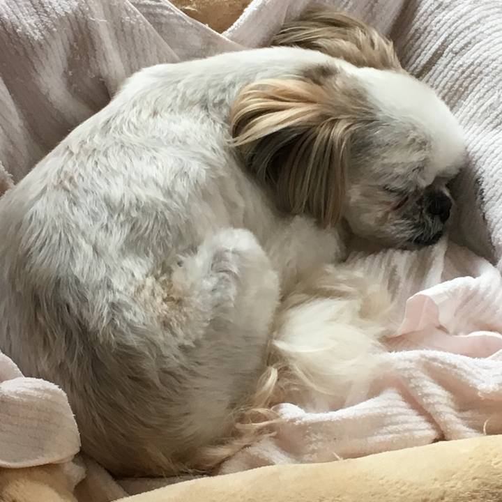 53f26289 9d5d 41c0 bf74 2ab21a2f0134 1559002807035