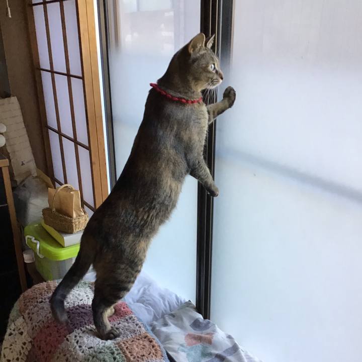 53f27d60 6bed 406c 98f0 6fce43752a77 1613629457802