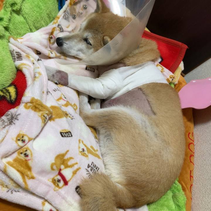 53f291ad 7dae 4ed7 8992 eb556e5ba775 1637379669415