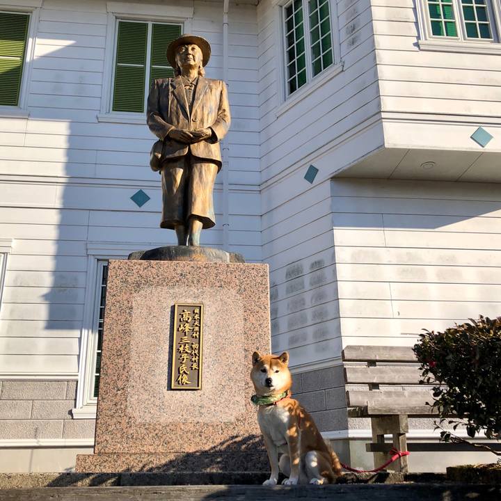 53f2c8b2 cb02 4007 a100 0a13b1a0ec42 1548756432576