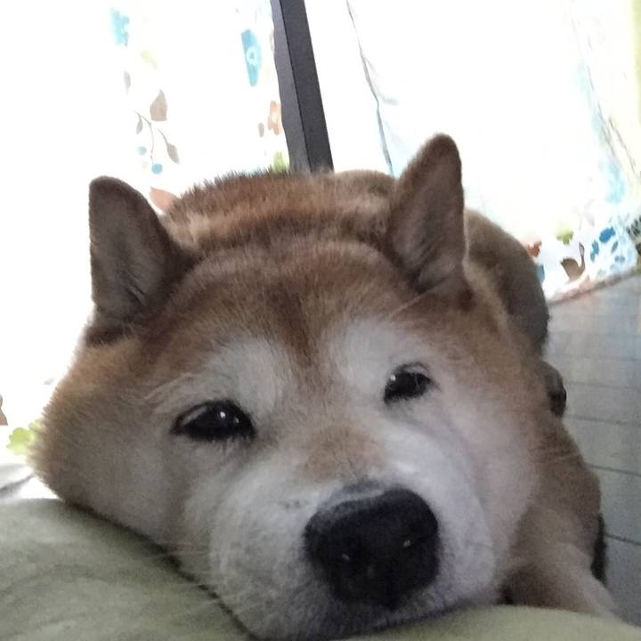 53f2e829 828c 4d57 8180 ddec6aa712fc 1556274098371