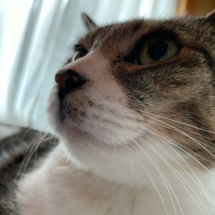 53f2ff8f 75c2 47e9 886c 1c7c2f436739 1661564882202