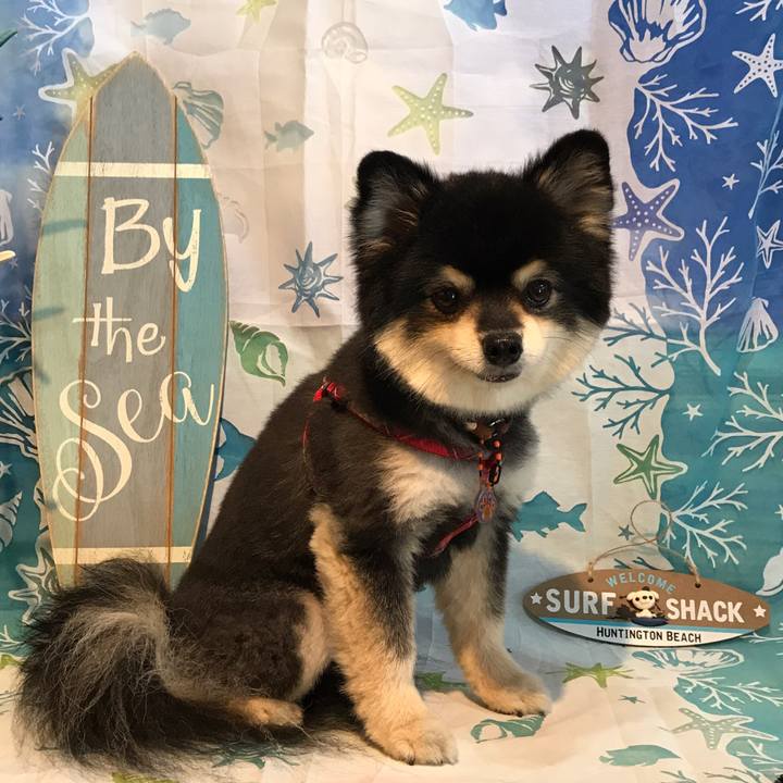 53f32ed8 c3e6 43e8 824e 1cdc693e15bc 1533849921862