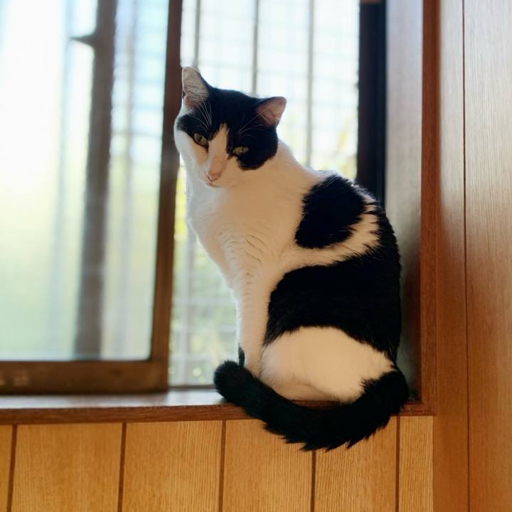 53f32f84 4a36 42c0 9098 e02ef6580187 1598583180933