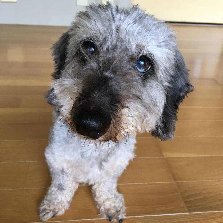 53f34304 7c0d 4c27 a053 ebb97248d774 1558669031829