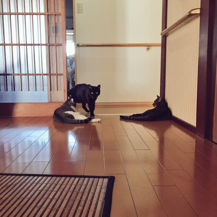 53f3b5c2 a826 4b63 b39e 84cb77fcd76d 1536062861984