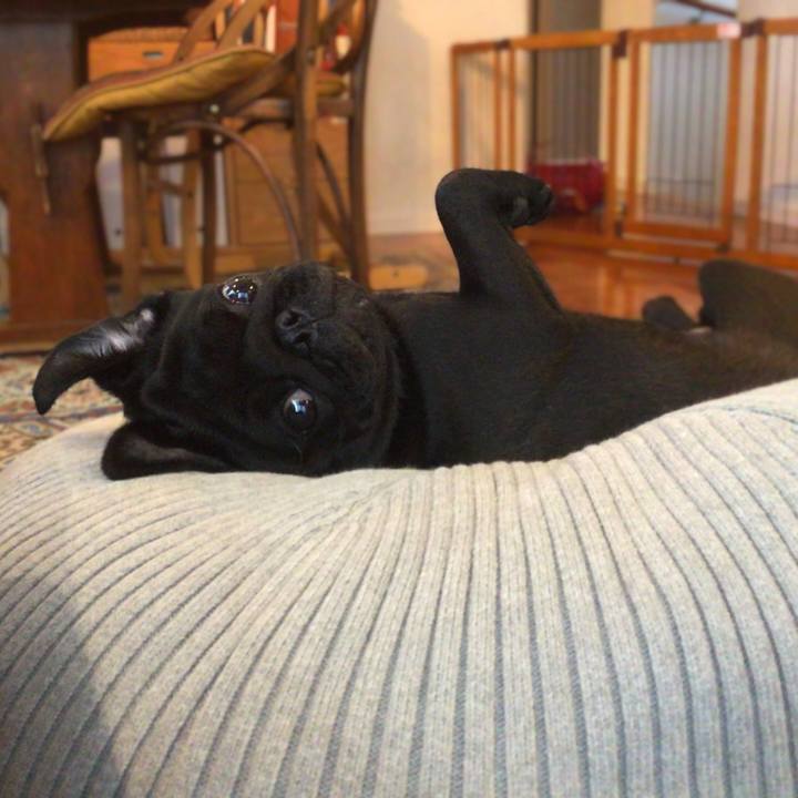 53f3bf24 fdca 4c5f 92f4 323068921299 1613372789606