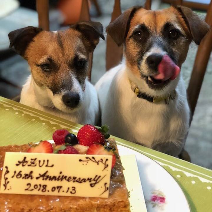 53f3c276 1c34 4da2 b8ed af4d45982f0d 1531484005657