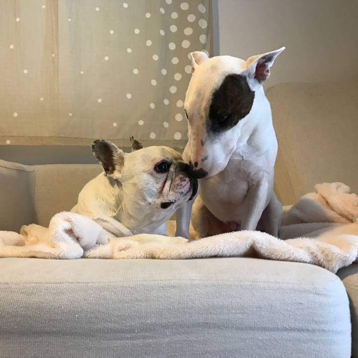 53f3c96e c2e3 4f7d 86c8 893ef23a63a7 1516148785515