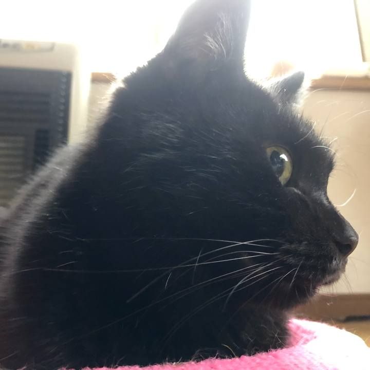 53f44391 e880 46e2 b0a5 c2c326943d12 1570228292426