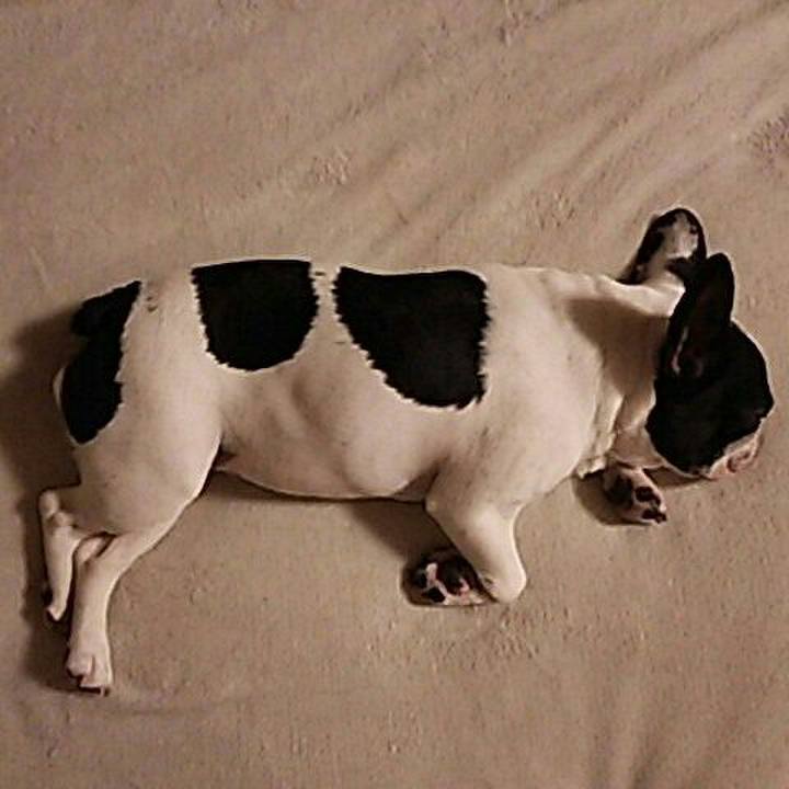 53f4571a c97c 4984 b068 39d73e443758 1529936530890