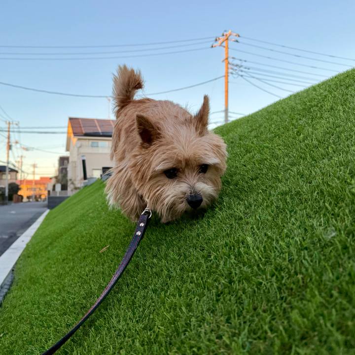 53f45ace dd45 4273 ac56 ebc458c37aa1 1764879290244