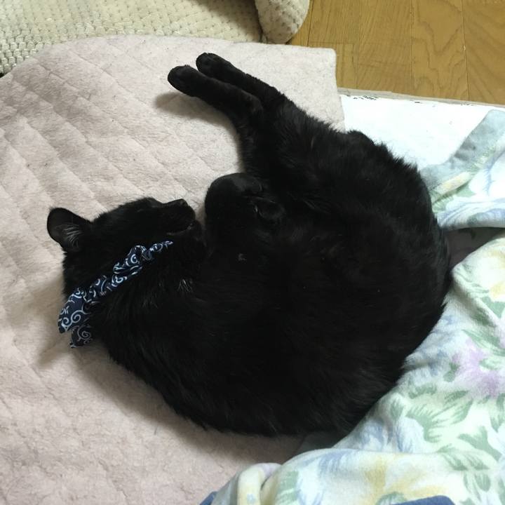 53f45ed3 189b 4a57 af42 c3bdf0ab4454 1551266996224