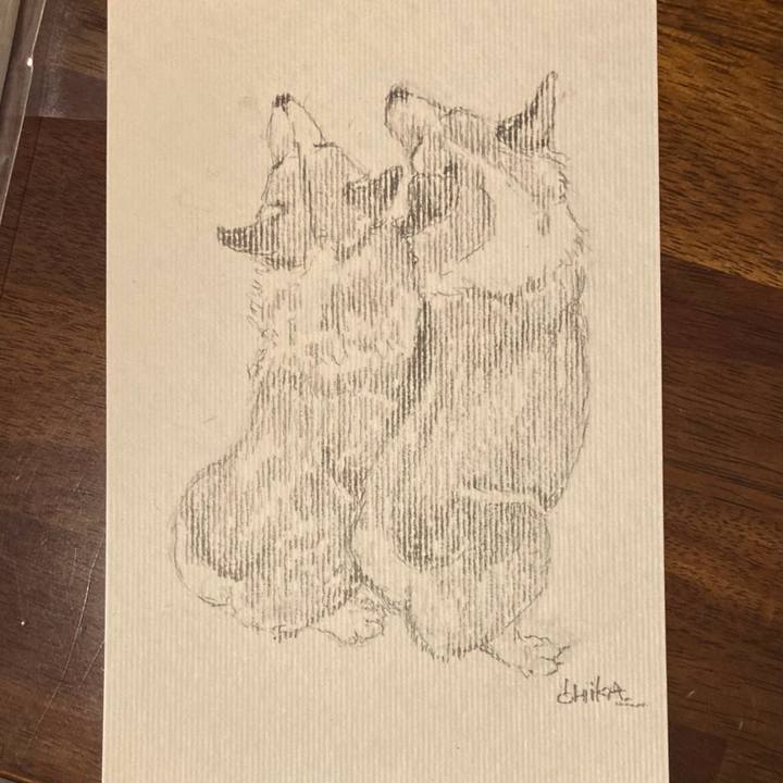 53f4643a d552 486c 9640 633f94f4392e 1748328035637