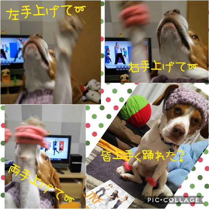 53f47adc 34ca 499d a668 716ae4f98c00 1587565387832