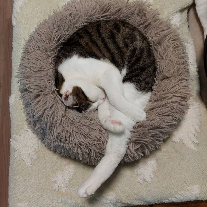 53f4dcac 8d78 4348 b797 d011c5ce2b15 1710109554929