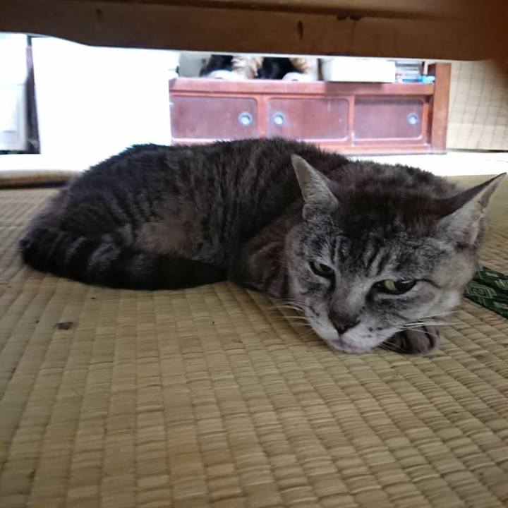 53f4f2e2 0f35 4924 80ae 9d198486e7ba 1566302223360