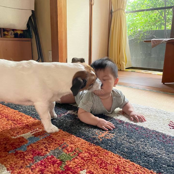 53f50023 b6ac 4965 9240 d436e88bf5db 1720250769671