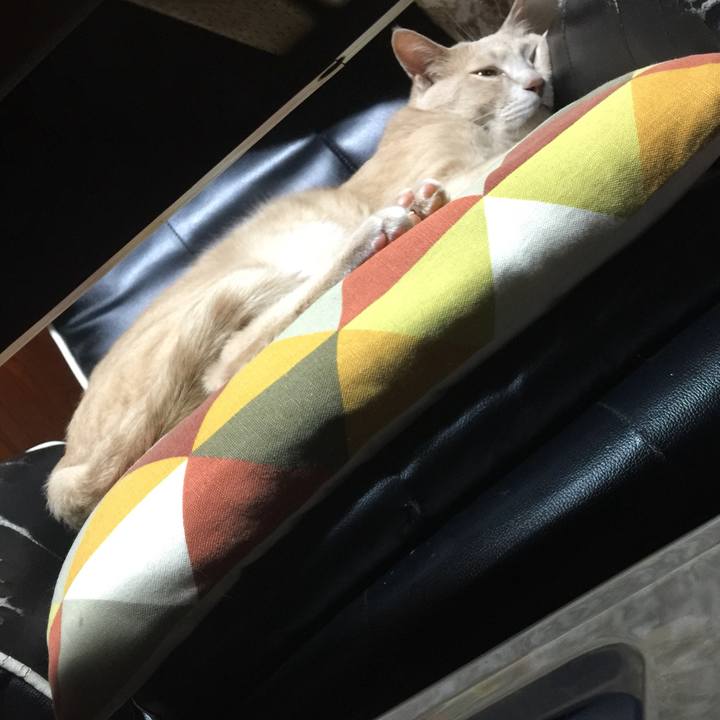 53f50460 5f4a 4c44 8dbf b8aa7313ab44 1559648742080