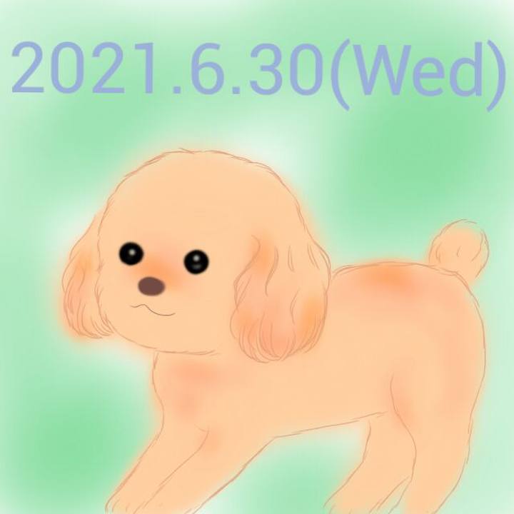 53f513d5 0cbd 4039 9367 d5c788d0ee63 1625053390969