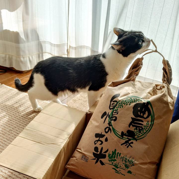 53f53f8f 1bbd 43af b871 2ae8f0422d83 1762843349513