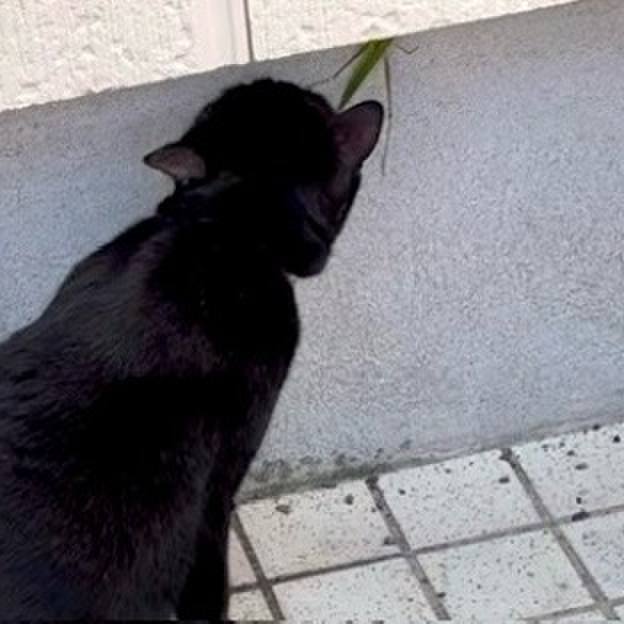 53f574a8 25ff 4c4f 8f11 61beada5b27c 1756195091761