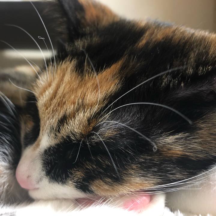 53f5a81f 83f2 4967 9051 aaf166e9d3ec 1552041830983