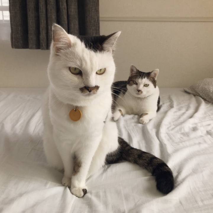 53f5ab5c e88c 4fdd a7f3 5aee274edbda 1564643018970