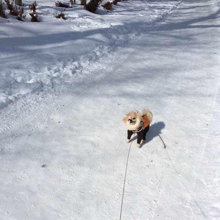 53f5d131 b6c9 4ae9 a973 1eaf03ce756c 1519707179136