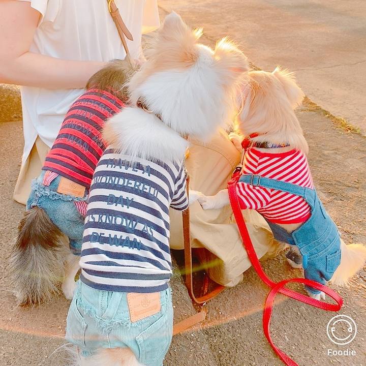 53f5d9b5 bacb 4c12 83f0 5d1081bafccd 1632748283267