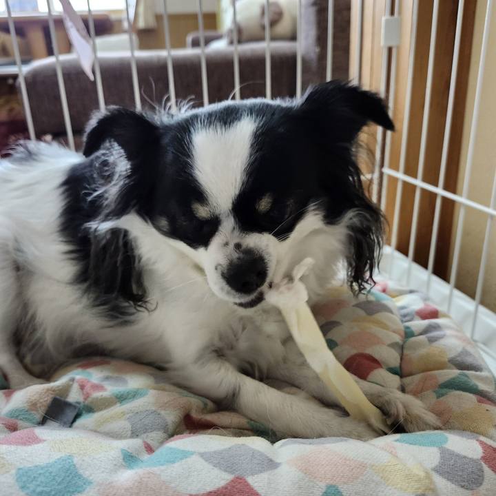 53f5e11c 82ca 413b 9236 9831cbadca82 1768260111589