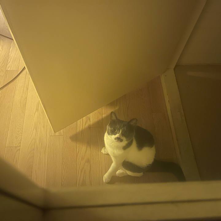 53f5f15a 8f50 428c 9a7e 376ac8870b2f 1631702030510