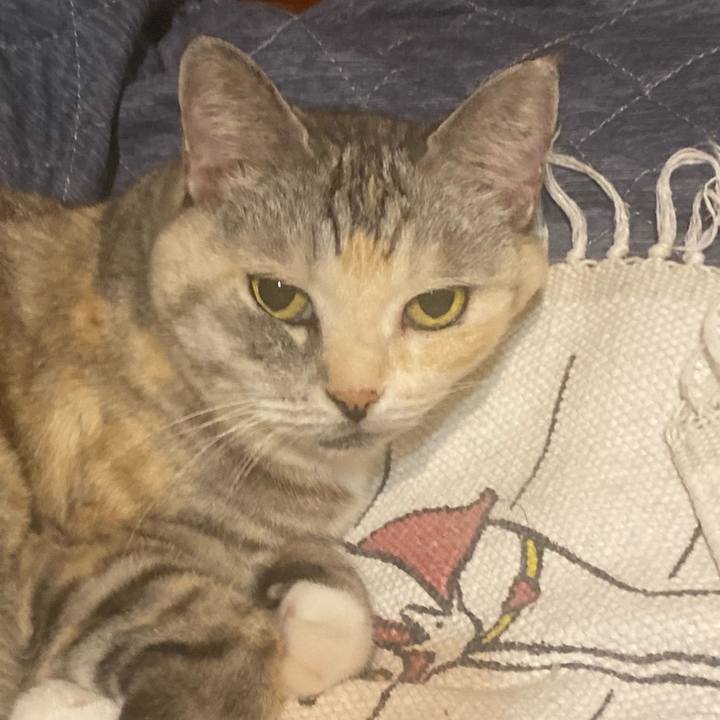 53f5fc5c d201 468b b8ca e60ea04683ad 1696085398495