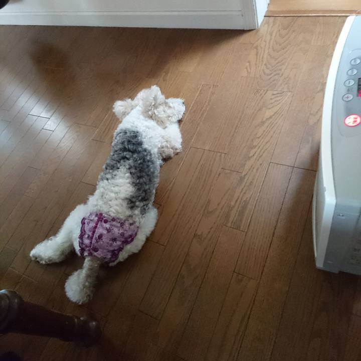 53f60e8c 788f 4eb1 b896 7db45b51f706 1520476193971