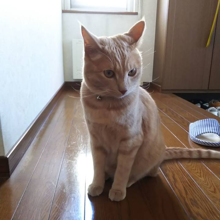 53f61049 6fc3 4210 a565 02c6c51f8ac8 1565767334738