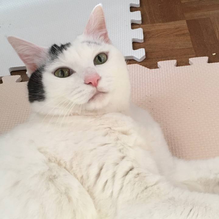 53f612c4 5b49 479f b62f 5d056b111f1c 1578473892355