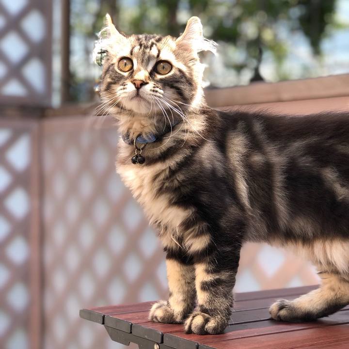 53f61512 198b 4f7c ada4 5a4b24047d8c 1558662907582