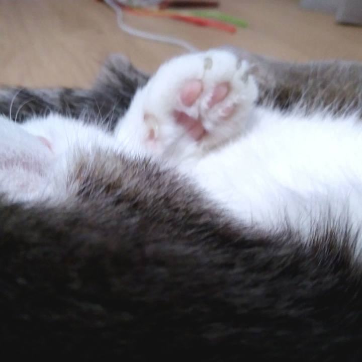 53f69c60 ab65 472b a7aa 37d3a9244971 1551532102197