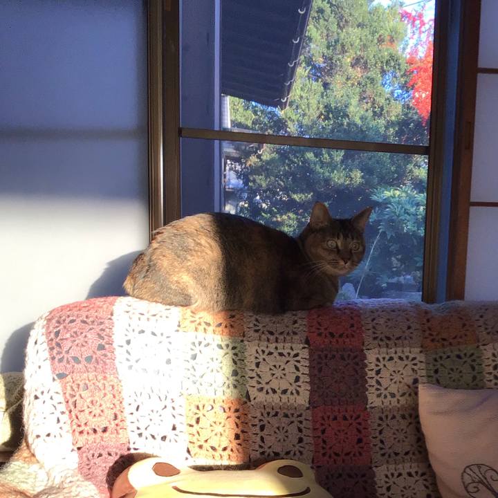 53f6ada1 0073 481e 809a 6150617af54b 1635415488467