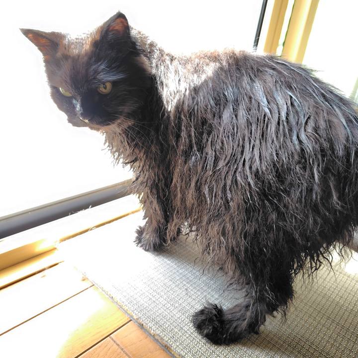 53f6bd18 91e3 4854 87a1 0406cd11aa1a 1724121534372