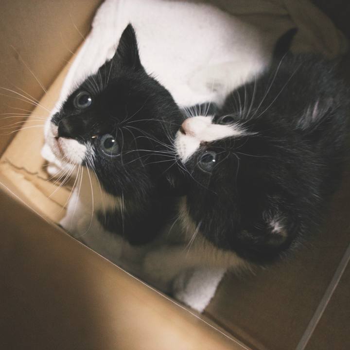 53f6d893 3ddd 45d7 a6cd 2832ec23f2f8 1760443907570