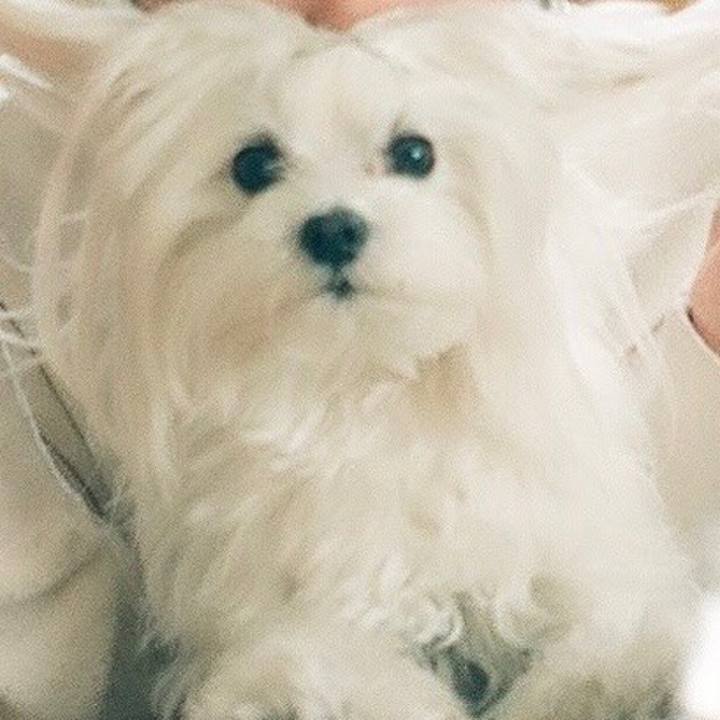 53f6e1a2 e18e 40de 935c 01c85b29a317 1698372828002