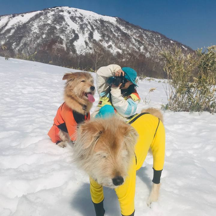 53f70364 9c38 4b3c 9725 4e76135da448 1614692367208