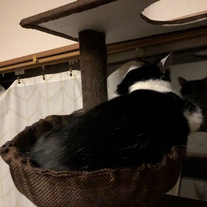 53f71feb 90f0 40ae b9bd 6353c282dd78 1561486574085