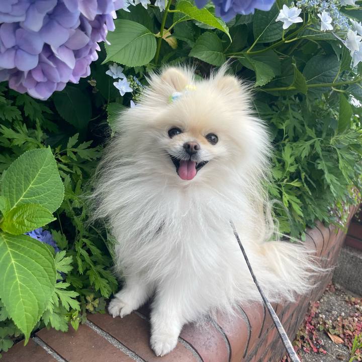 53f730d3 b530 42b5 a08a 8383974d7cdf 1717223865851