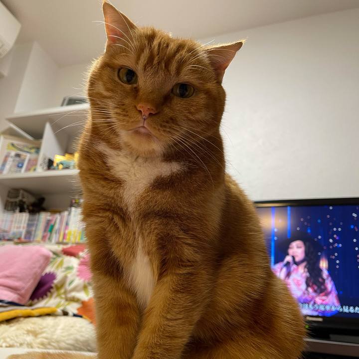 53f78850 7bc4 4e31 a600 6469087c6a2d 1646316954685