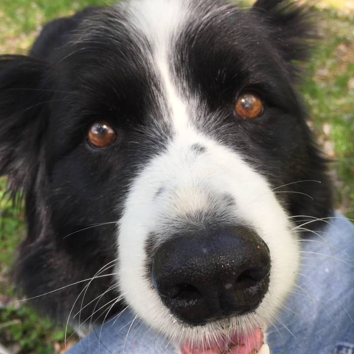 53f7990e 61e8 43f1 8a81 a440549cd87b 1588580450437