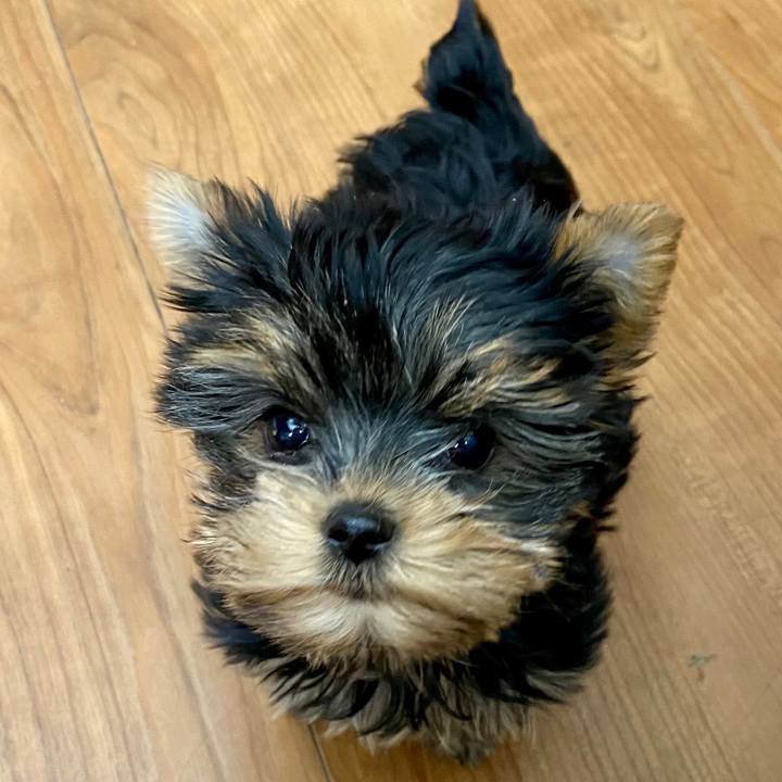 53f7d249 6fc4 4ab8 8ce8 1fdff5ed9e26 1613391395759