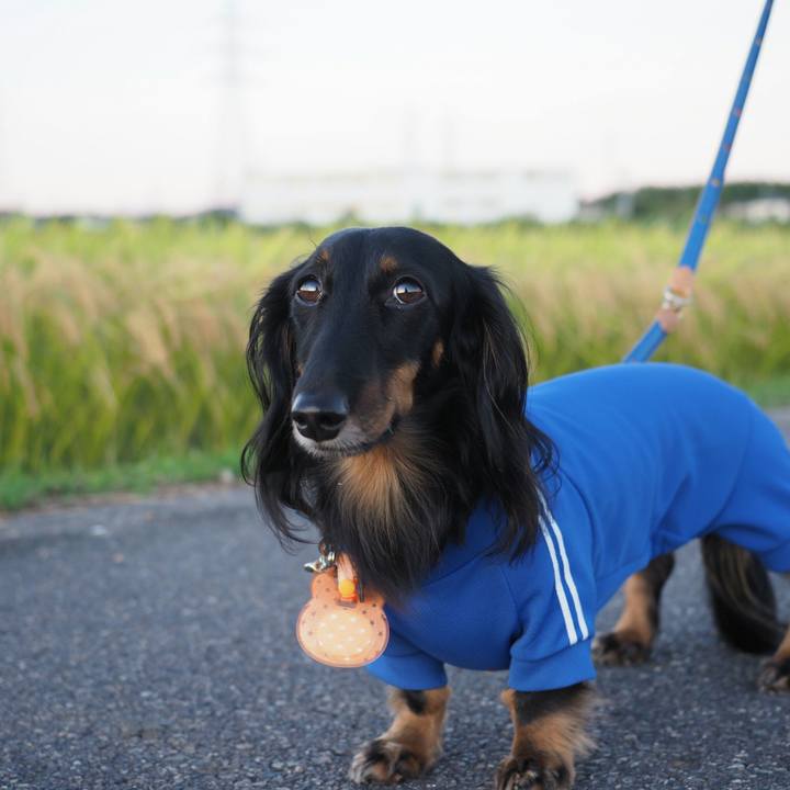 53f7d558 3d54 4182 a4c7 4b98bde41adc 1570958731707